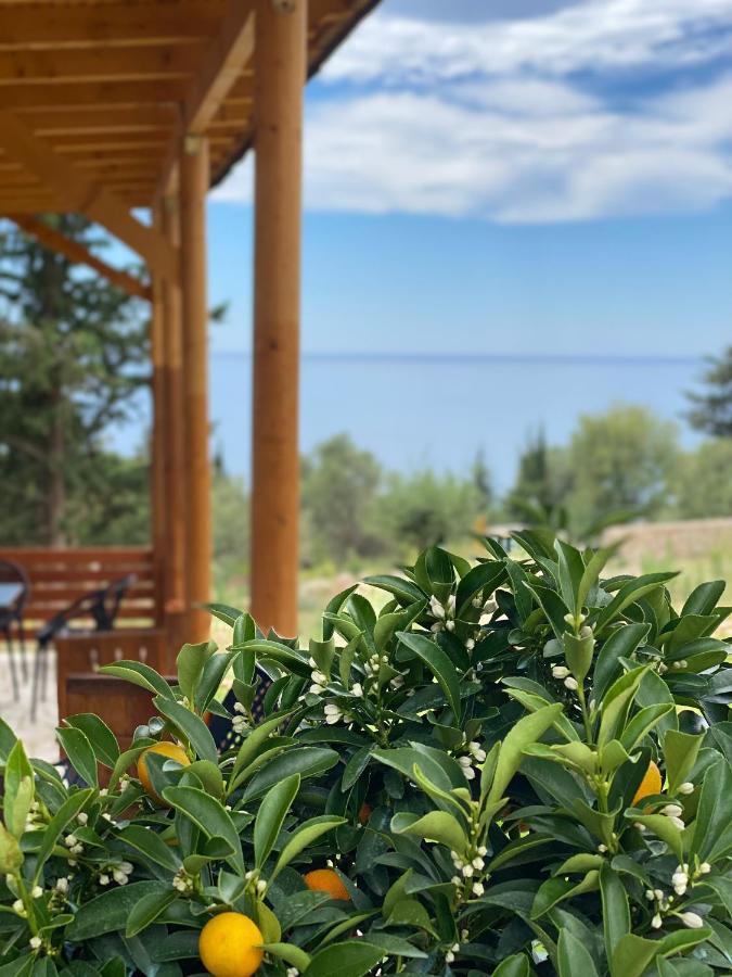 Summer Wine Boutique Hotel Dhërmi Dış mekan fotoğraf