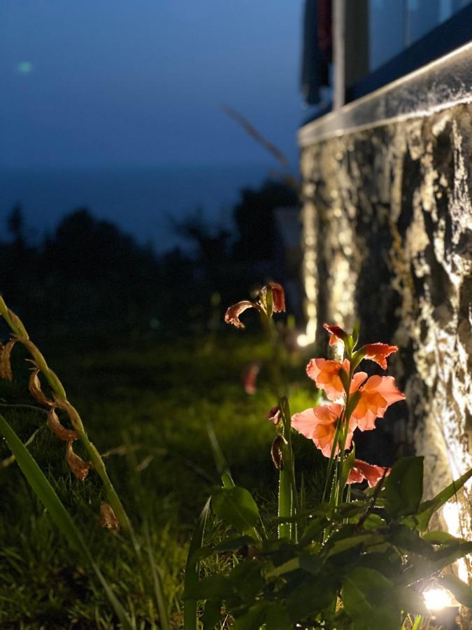 Summer Wine Boutique Hotel Dhërmi Dış mekan fotoğraf